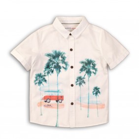 Ризка Aloha springs1_C18-20