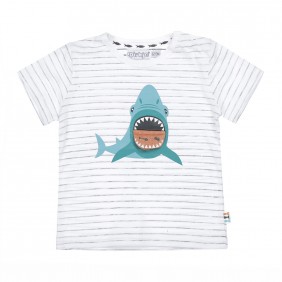Тениска акула